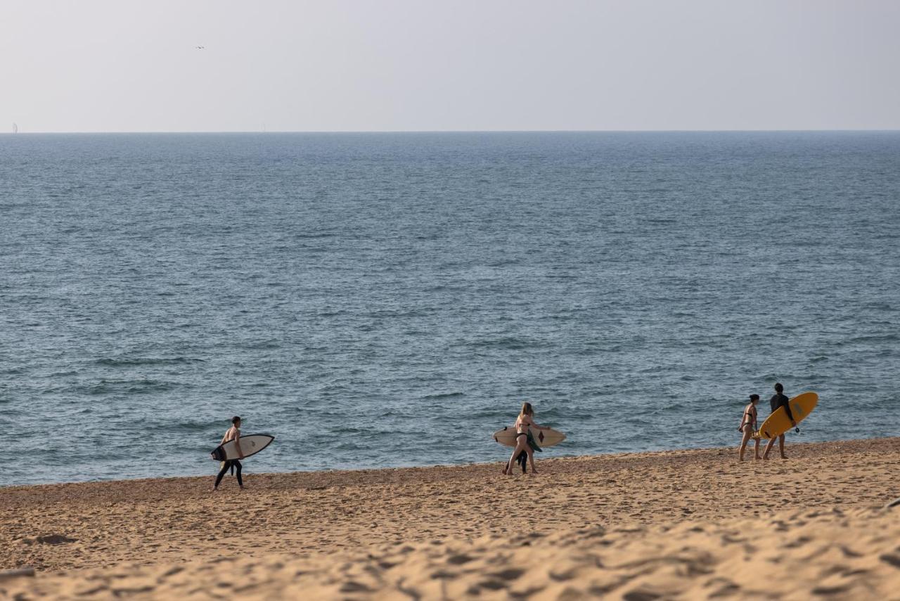 Village Vacances La Foret Des Landes ตาร์โนส ภายนอก รูปภาพ