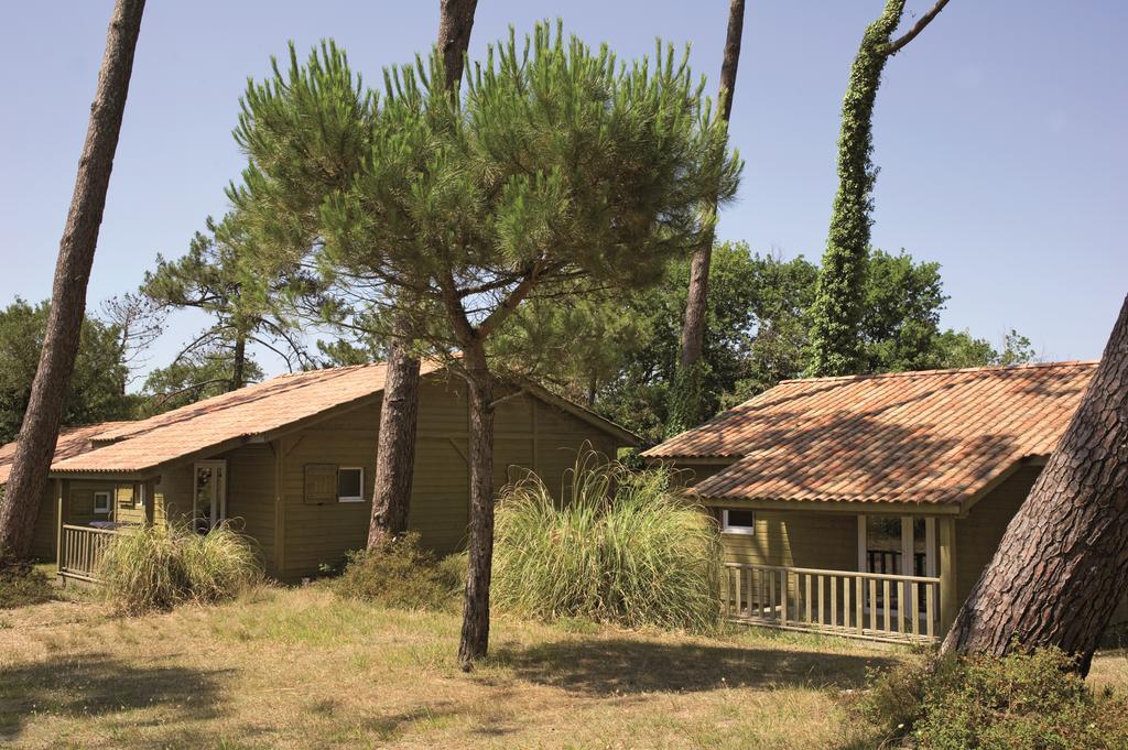 Village Vacances La Foret Des Landes ตาร์โนส ภายนอก รูปภาพ