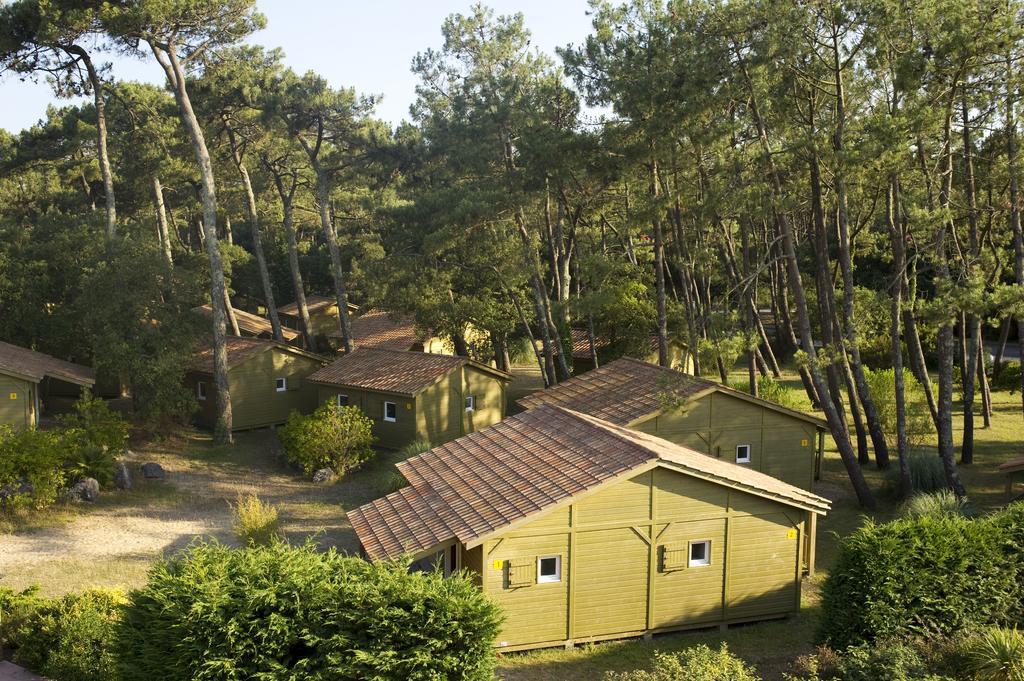 Village Vacances La Foret Des Landes ตาร์โนส ภายนอก รูปภาพ