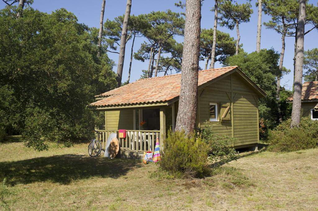 Village Vacances La Foret Des Landes ตาร์โนส ภายนอก รูปภาพ
